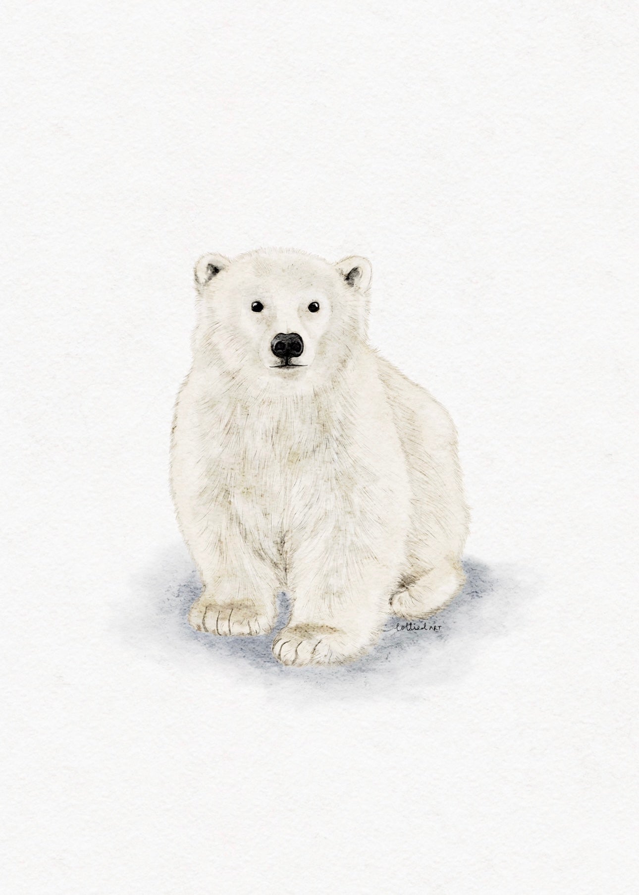 Polar Bear Fine Art Print 🐻❄️