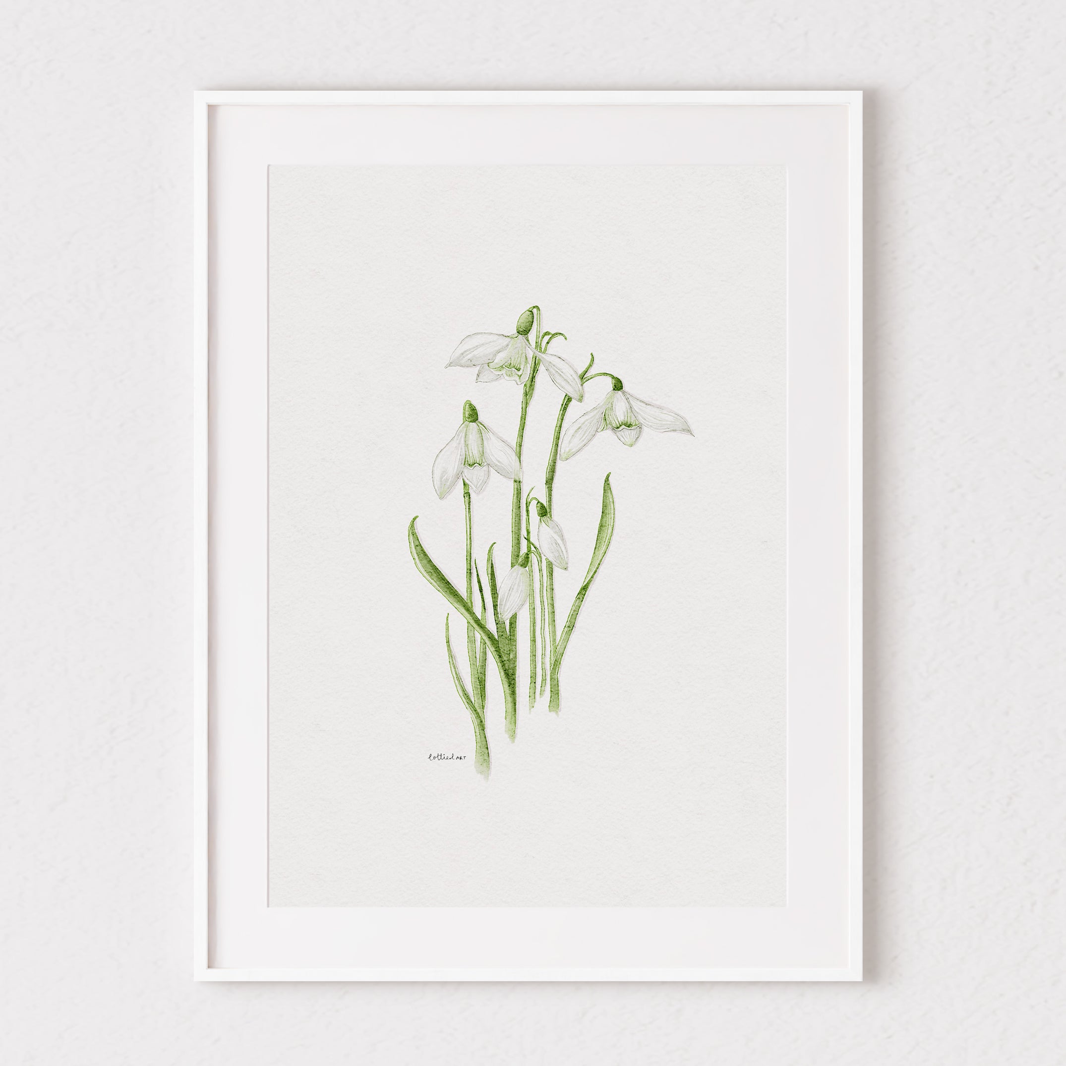 Snowdrops Fine Art Print 🤍