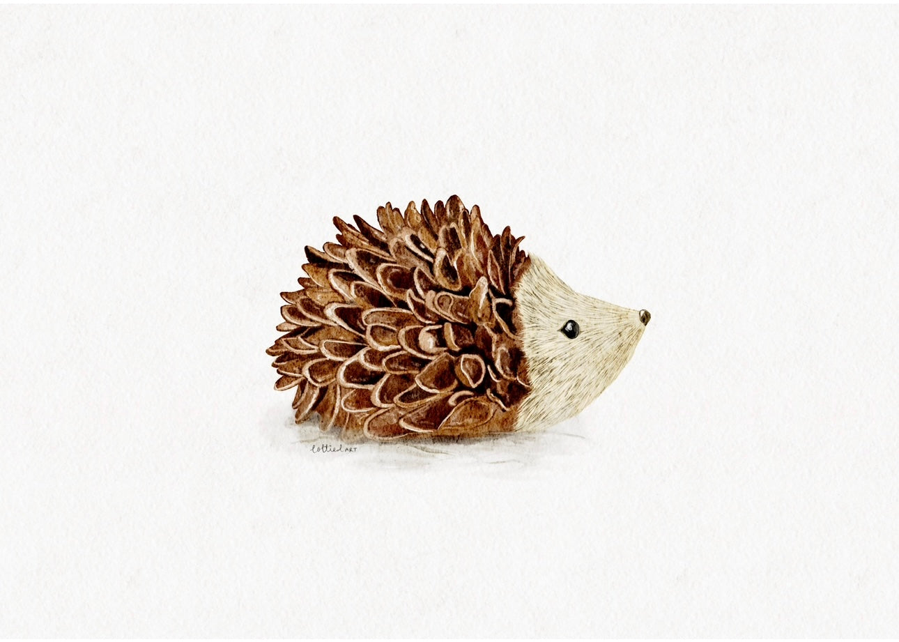 Hedgehog Pinecone Watercolour Print 🦔