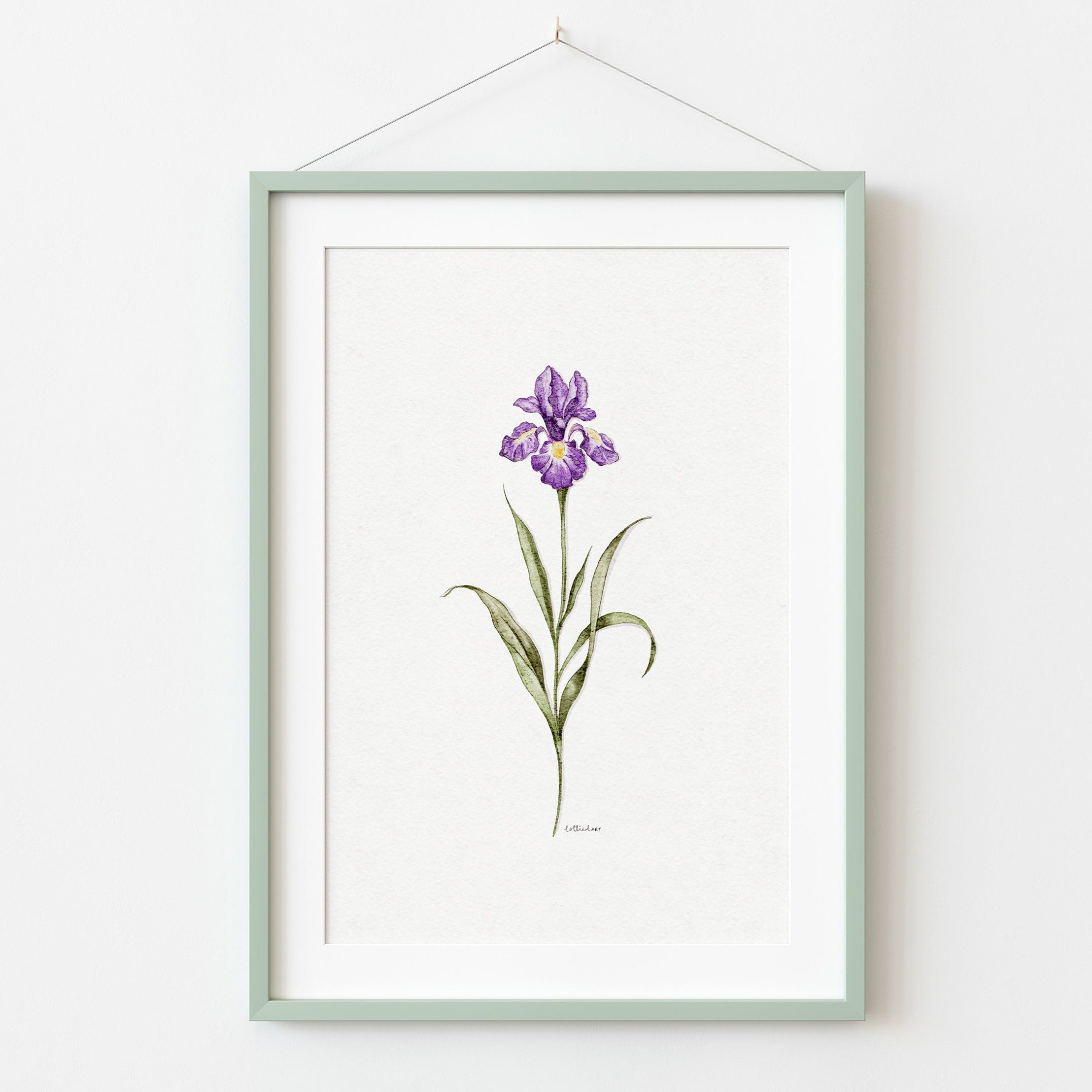 Iris Watercolour Print 💜
