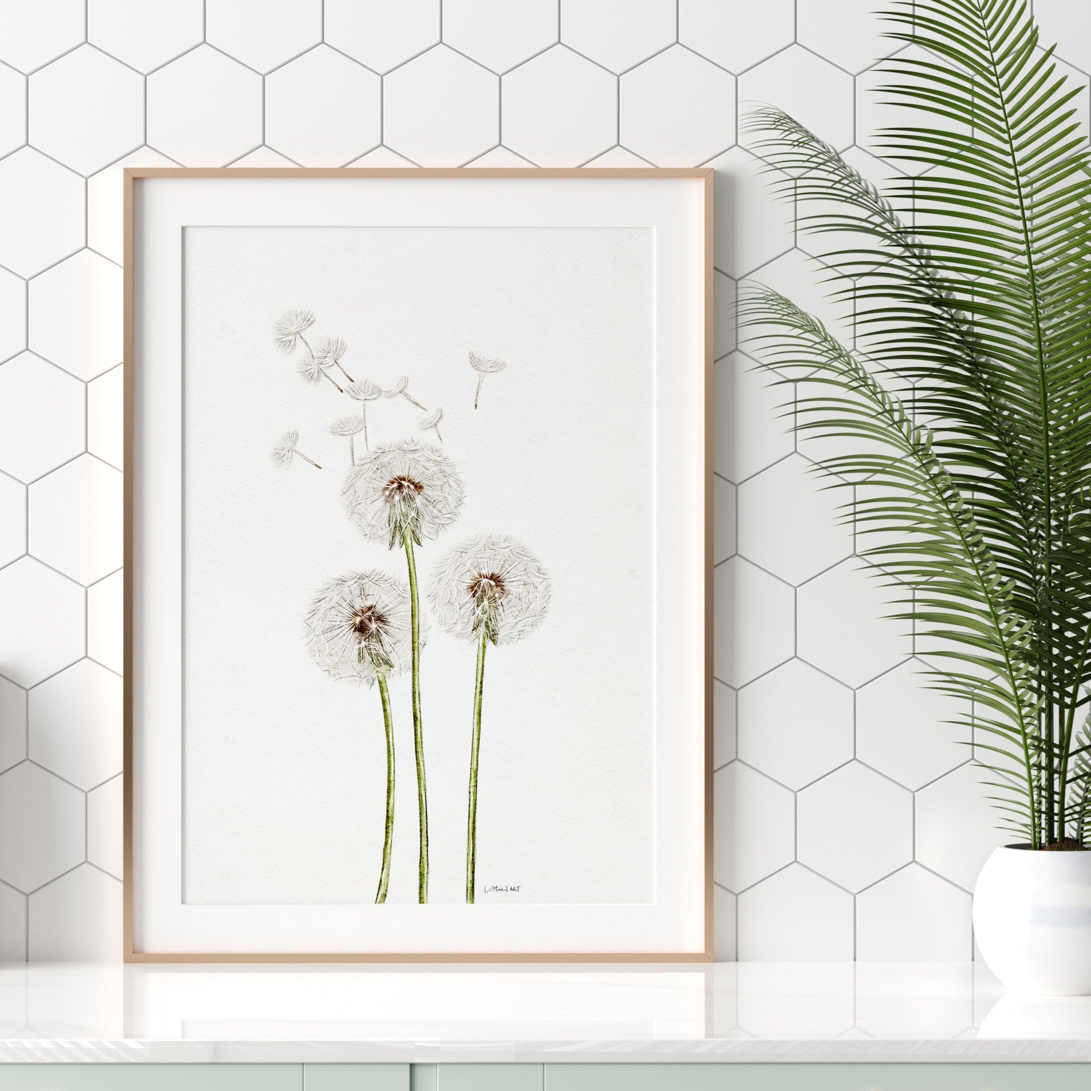 Dandelion Watercolour Print 🤍