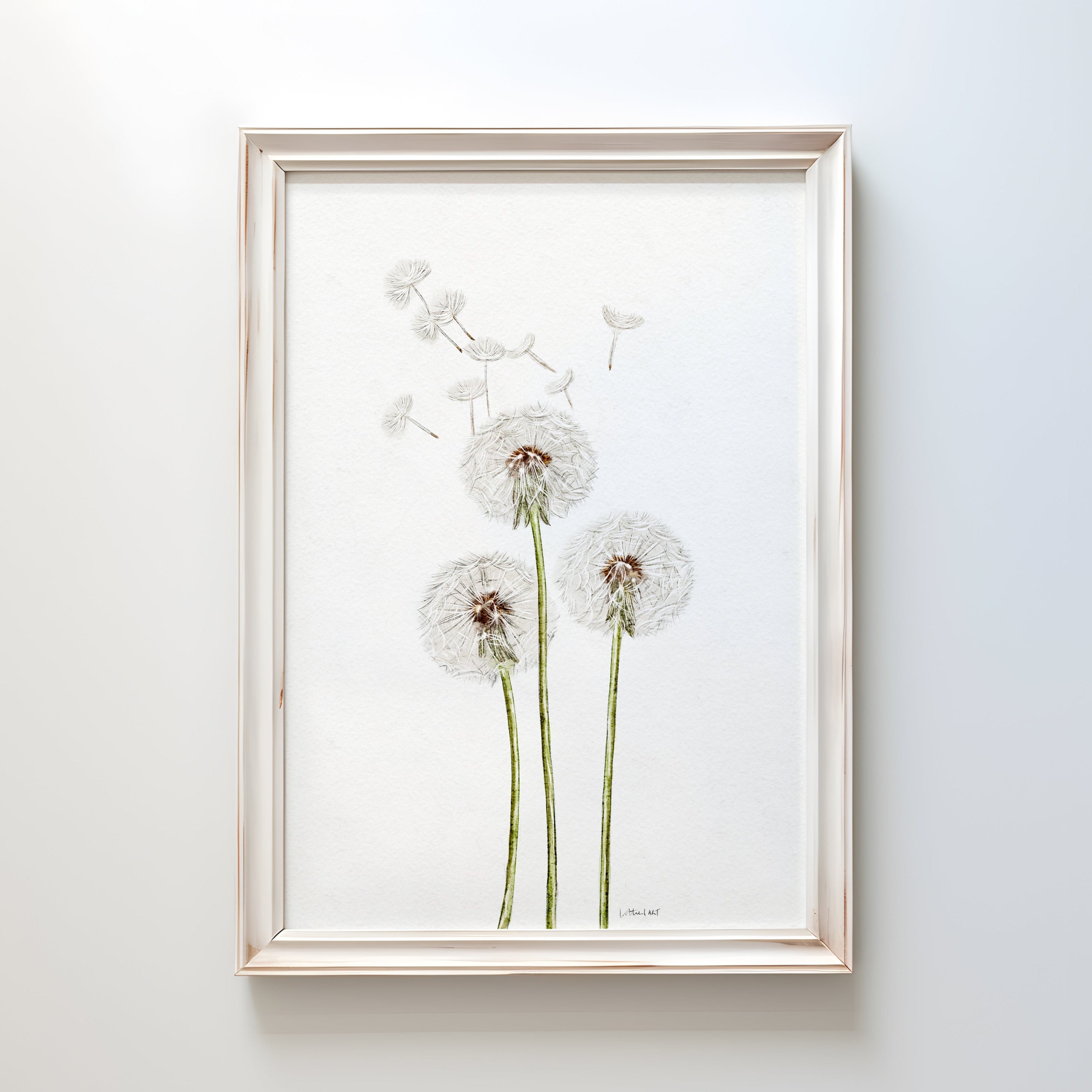 Dandelion Watercolour Print 🤍