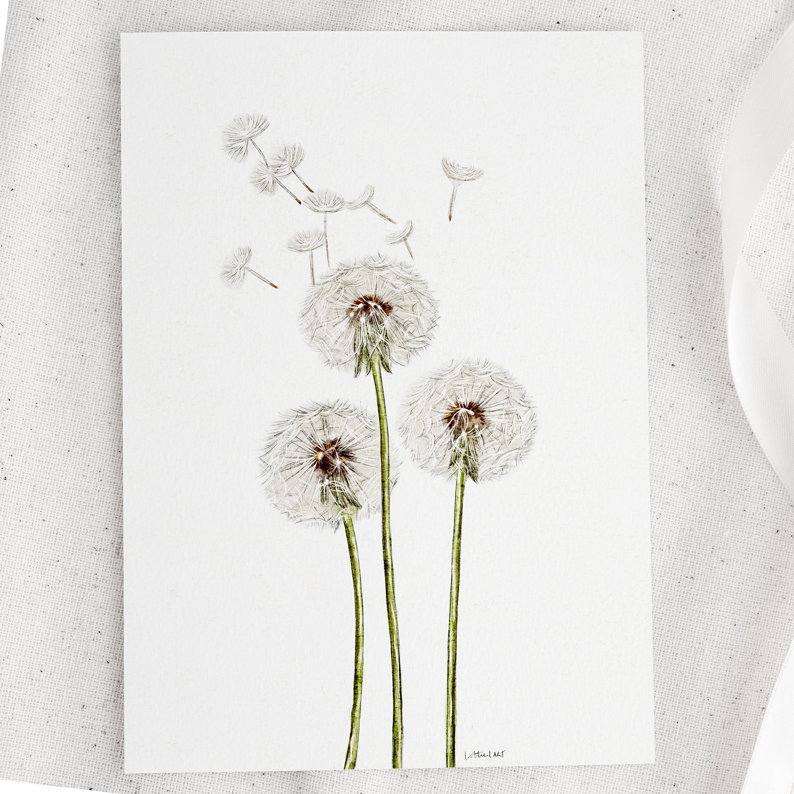 Dandelion Watercolour Print 🤍