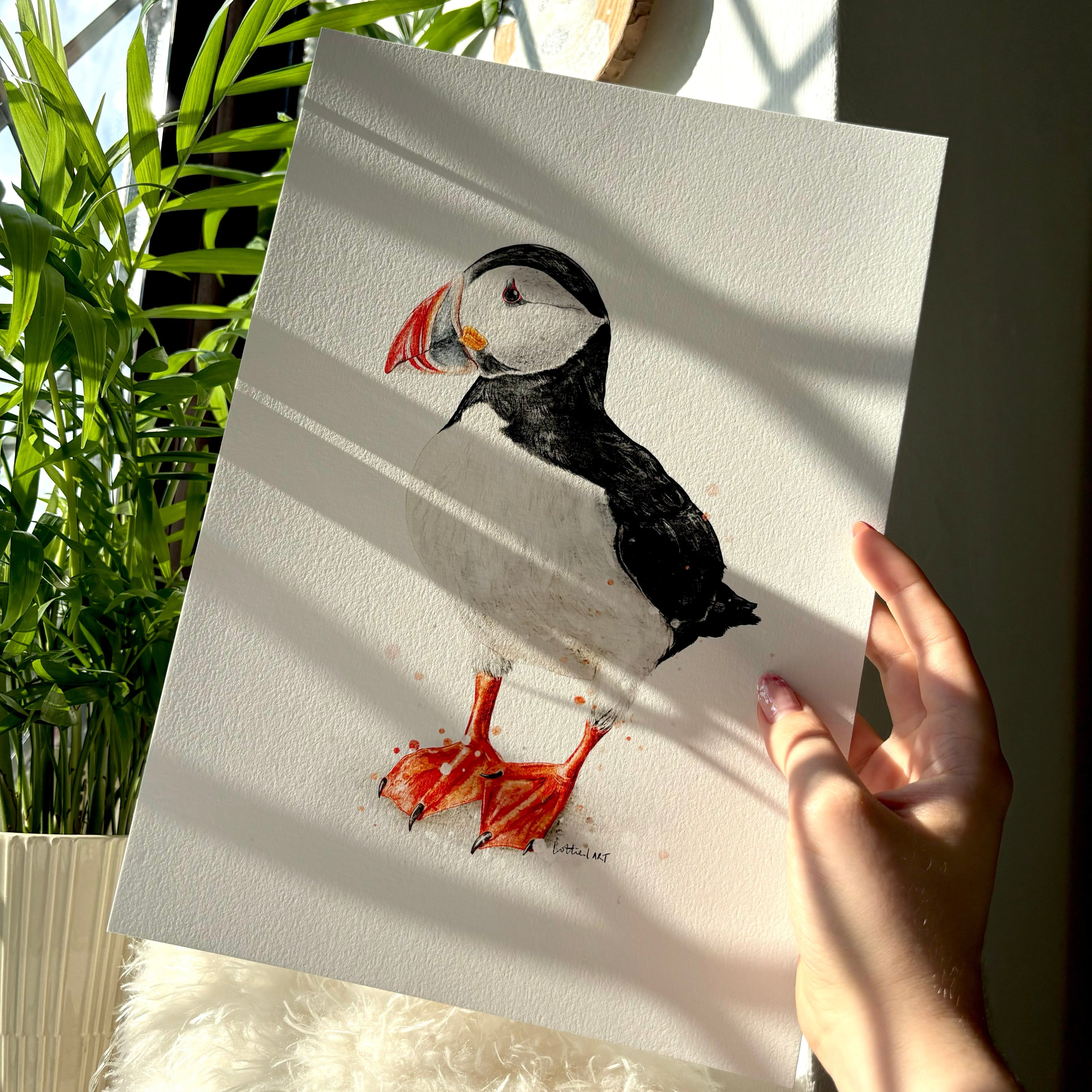 Puffin Watercolour Print 🖤