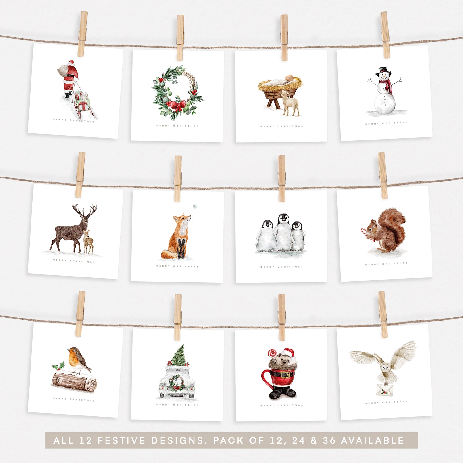 2023 Complete Festive Collection Set 2.0 - Pack of 12, 24 or 36