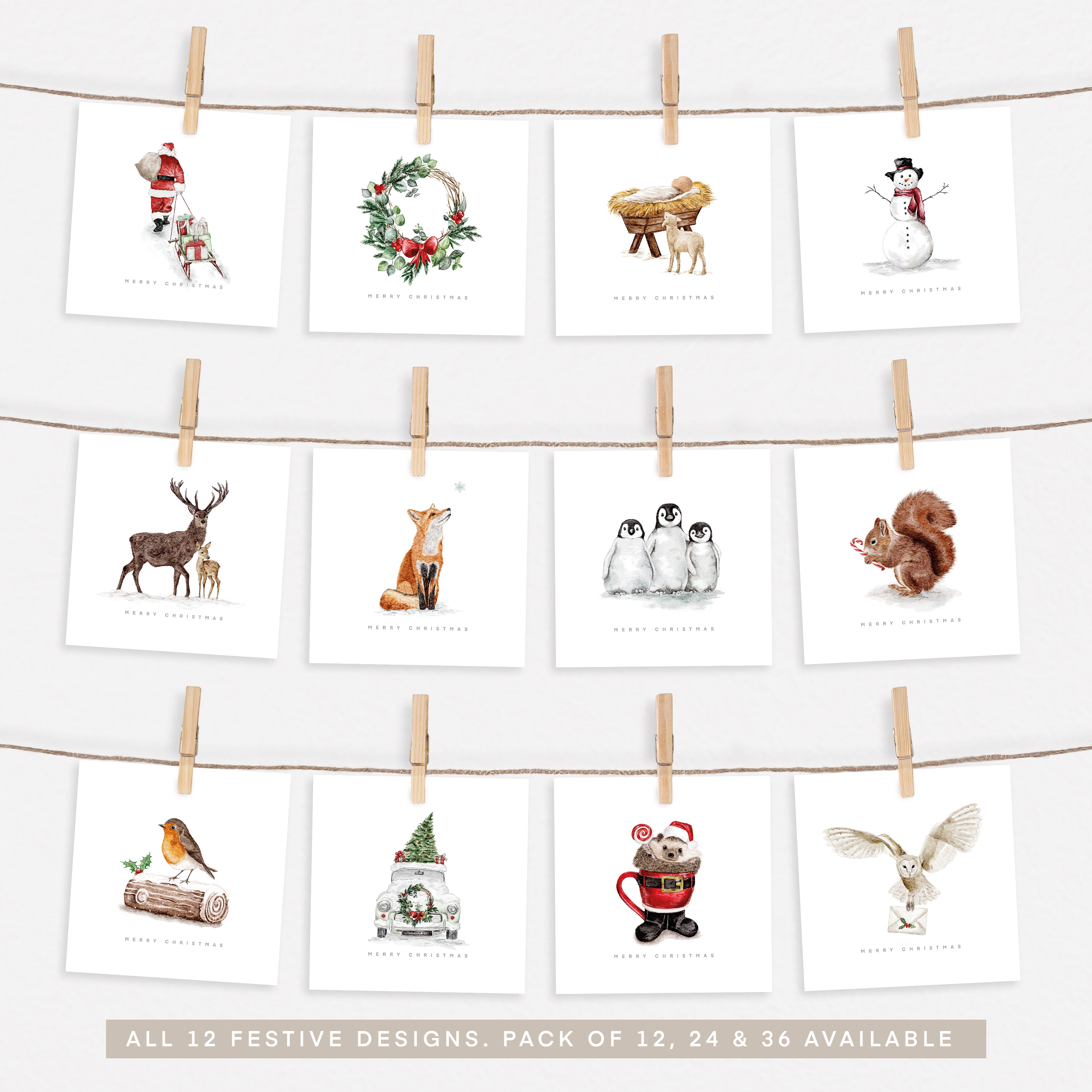2023 Complete Festive Collection Set 2.0 - Pack of 12, 24 or 36