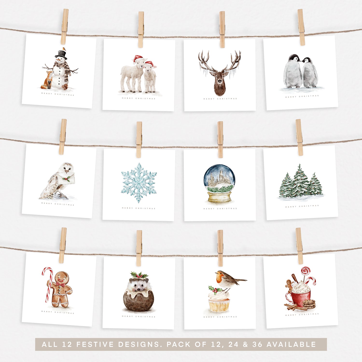 2024 Complete Festive Collection Set 3.0 - Pack of 12, 24 or 36