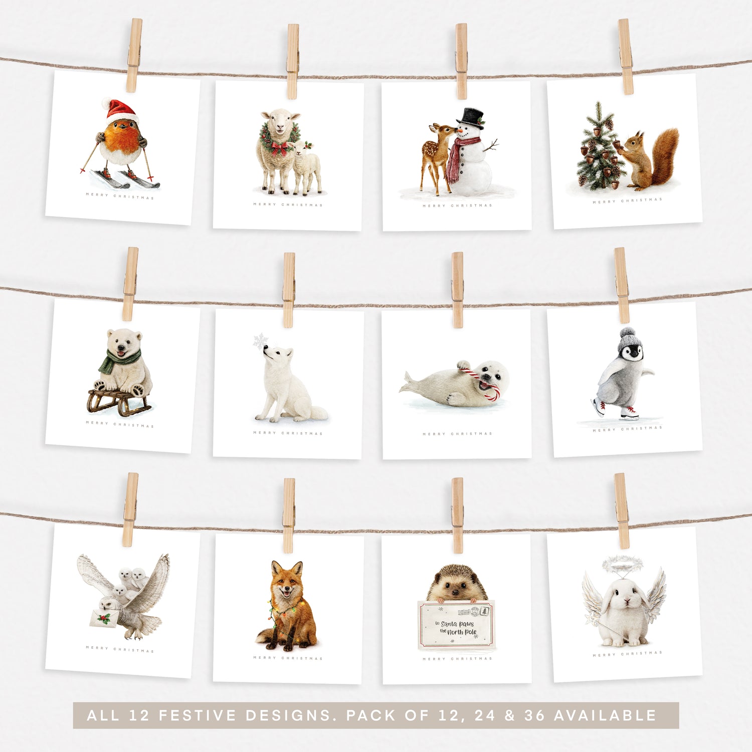 2025 Complete Festive Collection Set 4.0 - Pack of 12, 24 or 36
