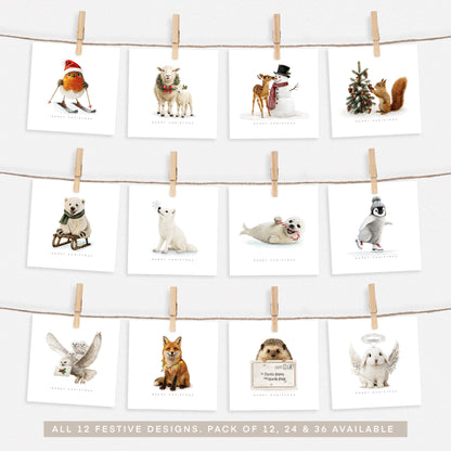 2025 Complete Festive Collection Set 4.0 - Pack of 12, 24 or 36
