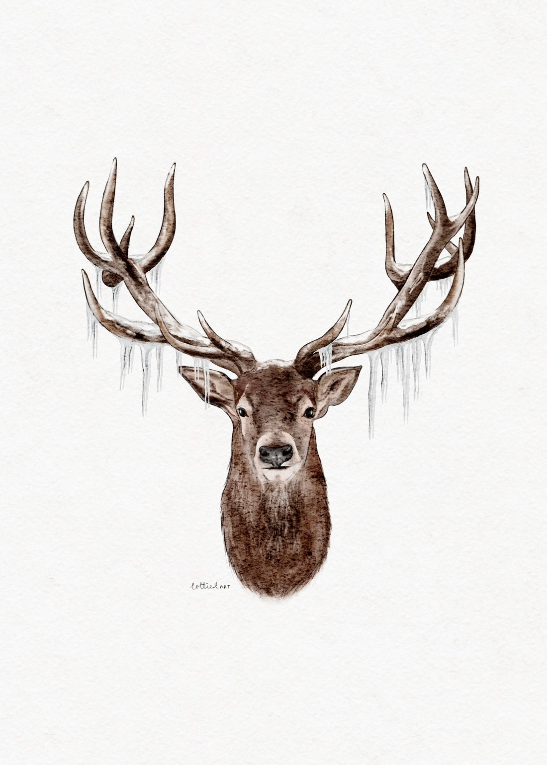 Icy Stag Watercolour Print 🦌