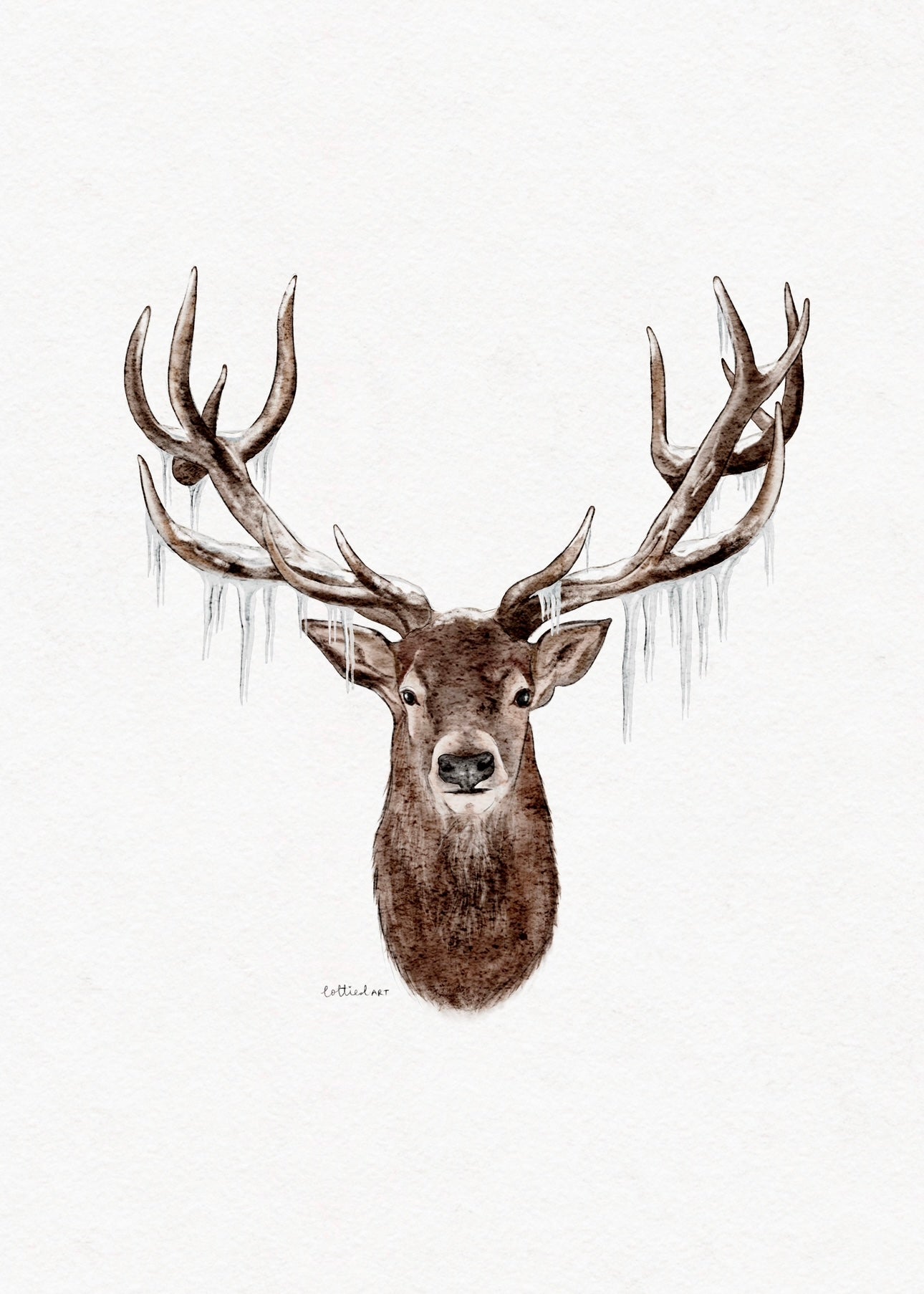 Icy Stag Watercolour Print 🦌