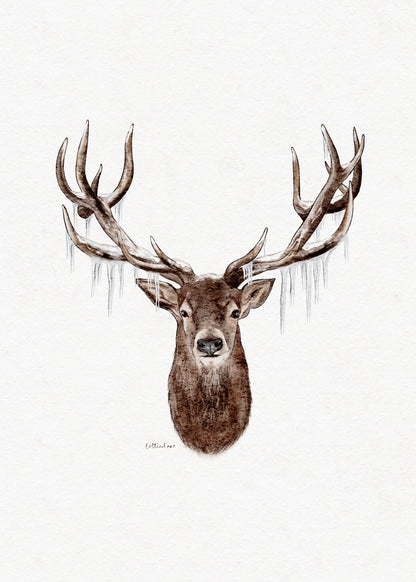 Icy Stag Watercolour Print 🦌