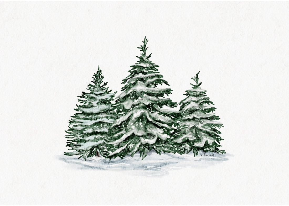 Snowy Trees Fine Art Print 🌲
