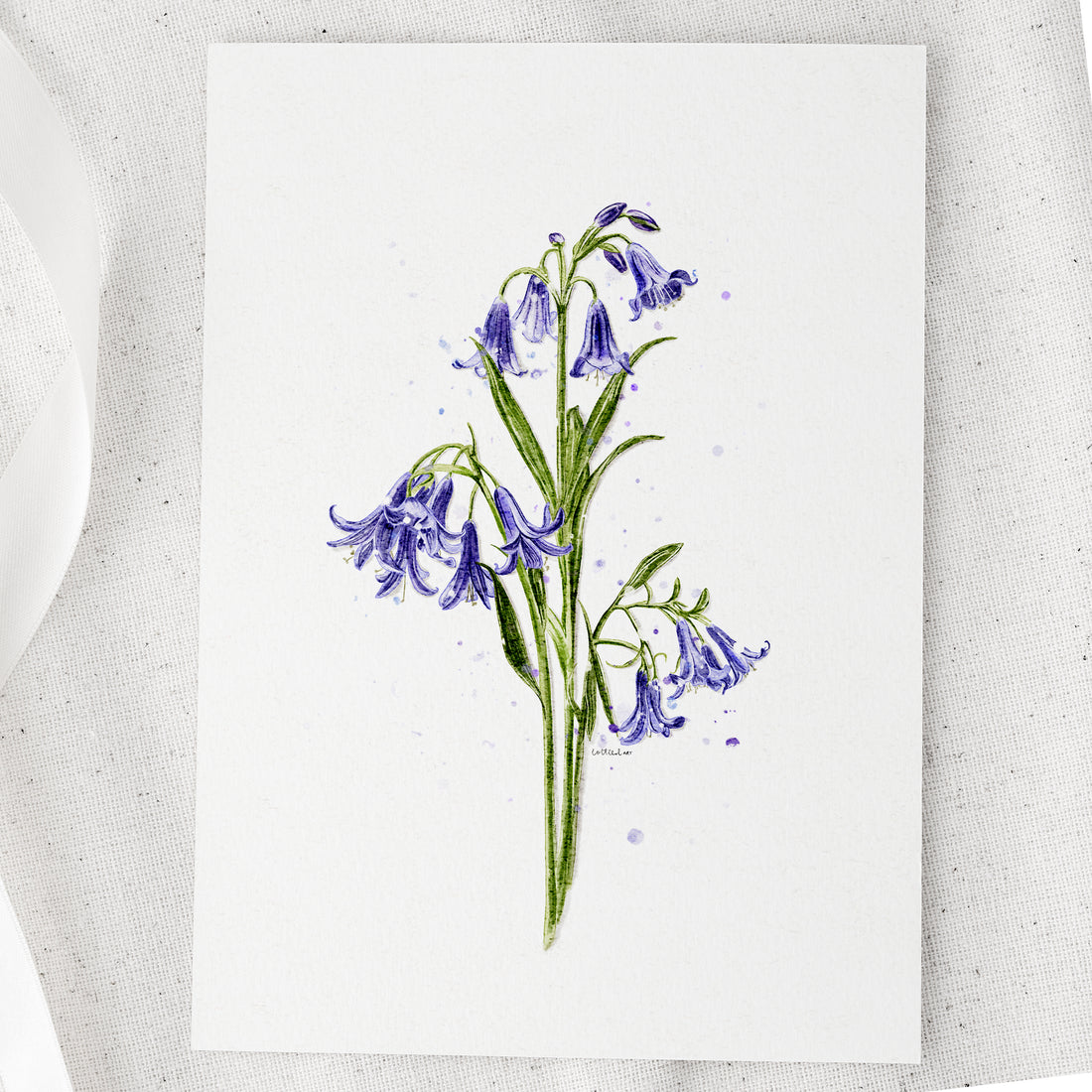 Bluebells Watercolour Print 💙