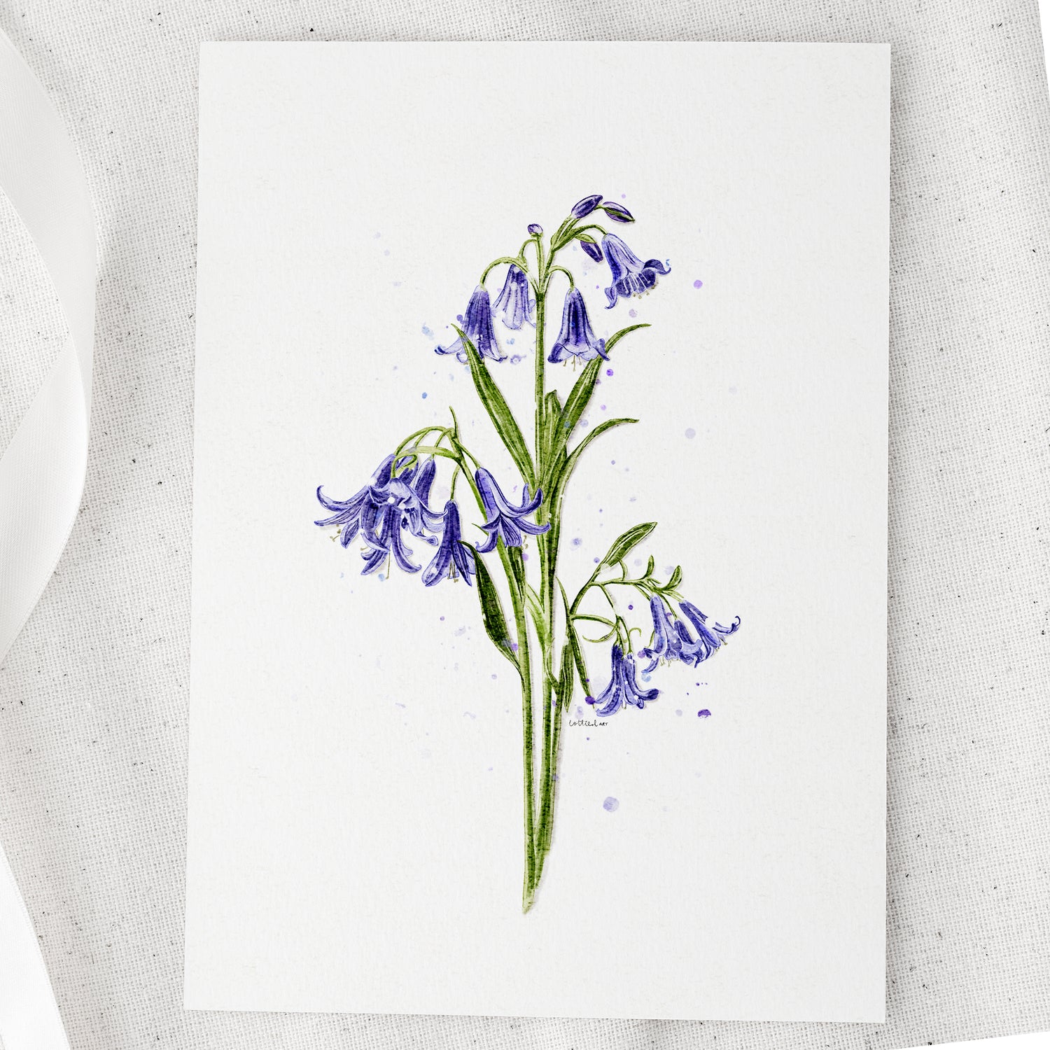 Bluebells Watercolour Print 💙