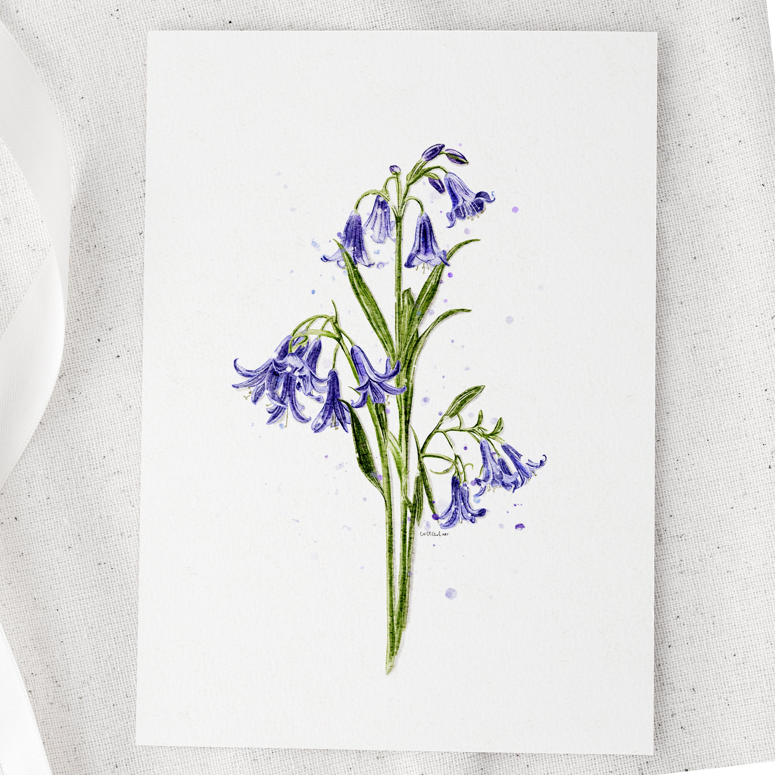 Bluebells Watercolour Print 💙