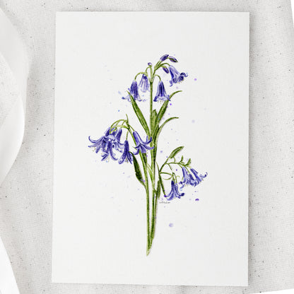 Bluebells Watercolour Print 💙