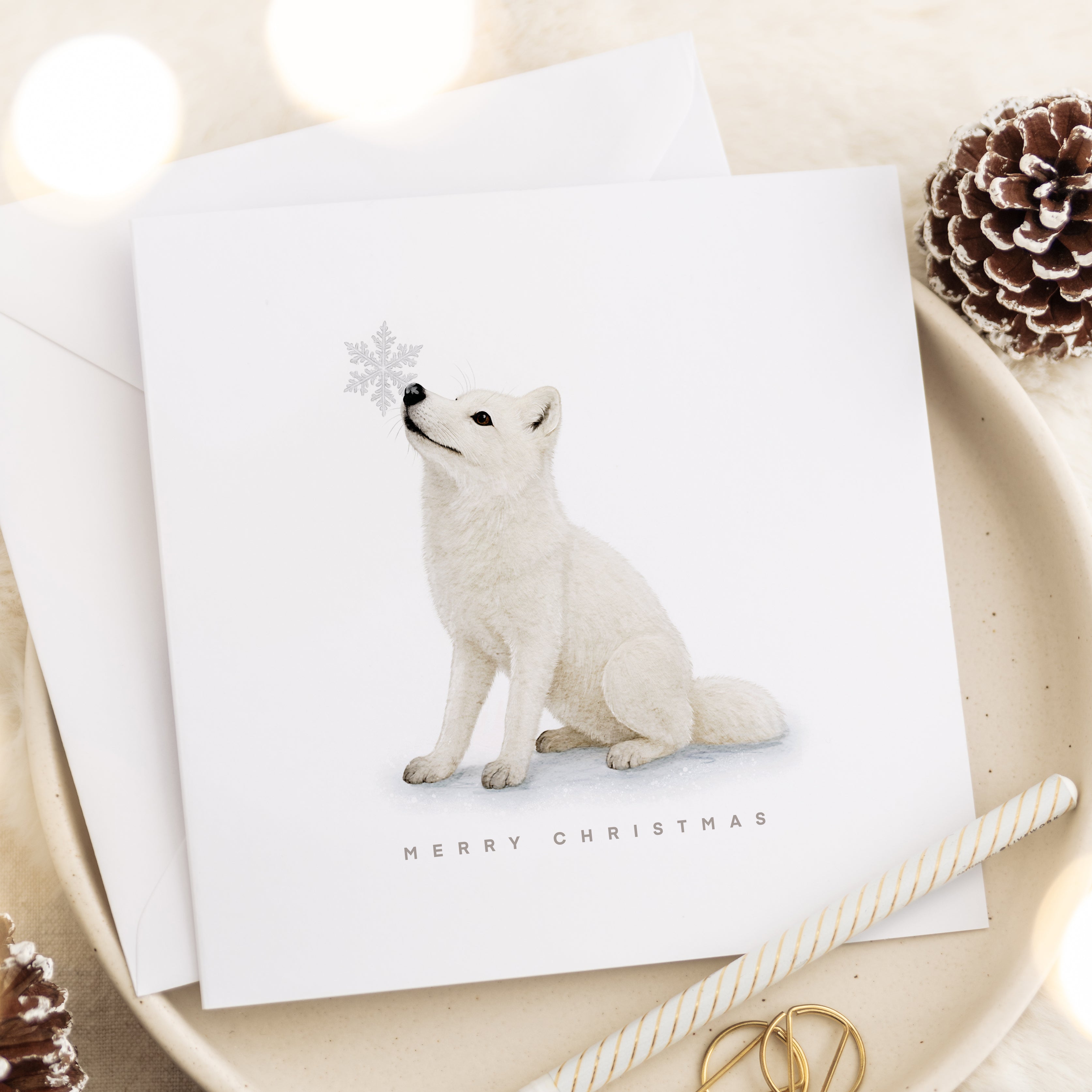 2025 Complete Festive Collection Set 4.0 - Pack of 12, 24 or 36