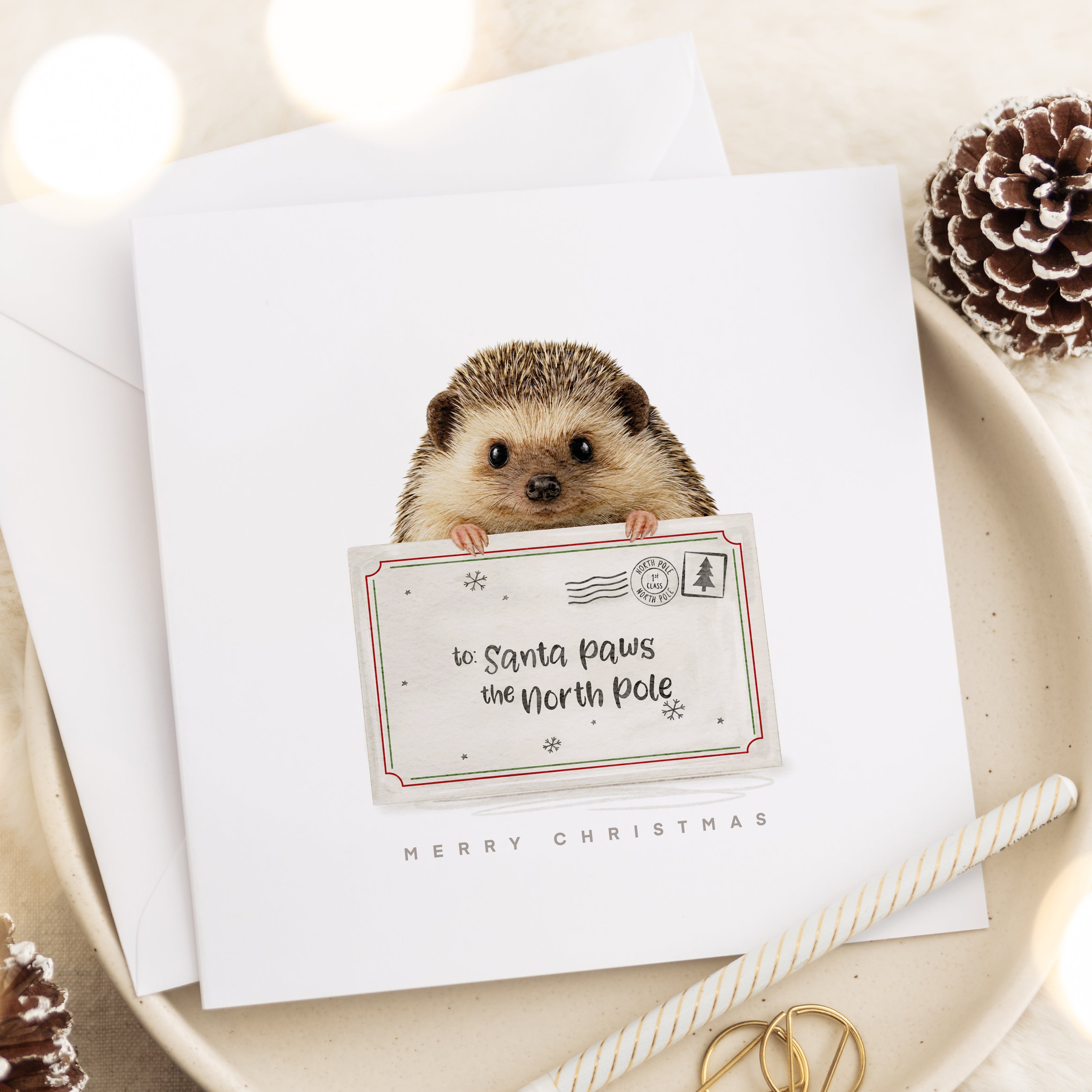 Festive Wonder - Christmas Card Set - Pack of 8, 12, 16, 24 or 32