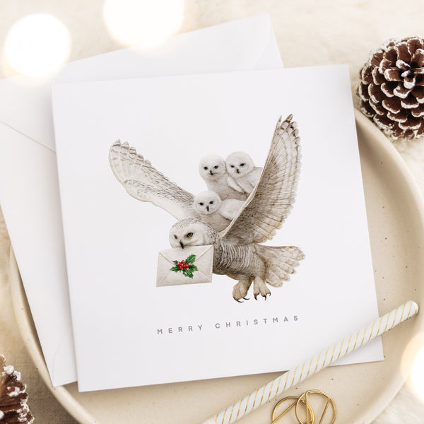 The Owlets' First Christmas - Christmas Card