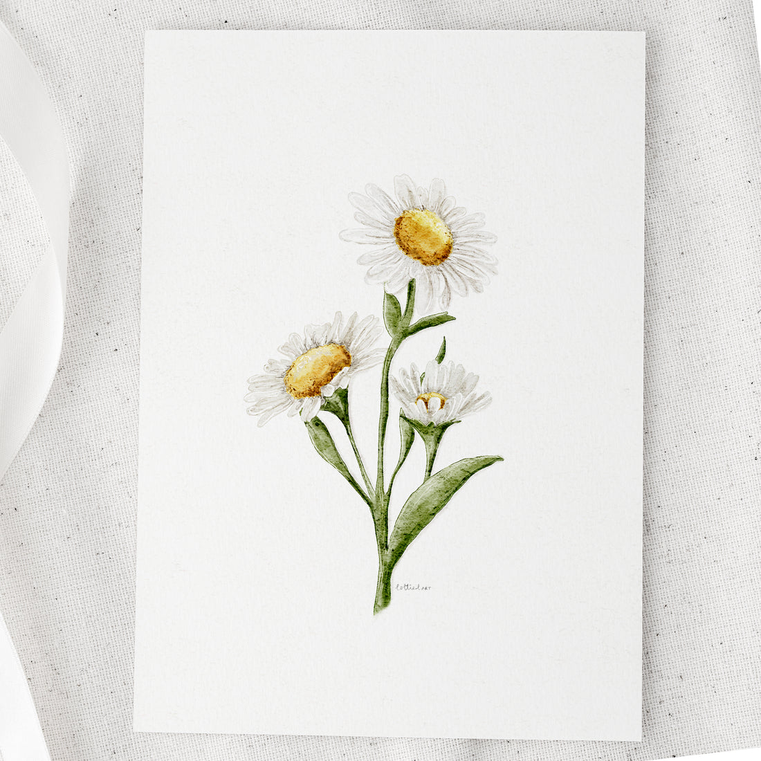 Daisies Watercolour Print 🌼