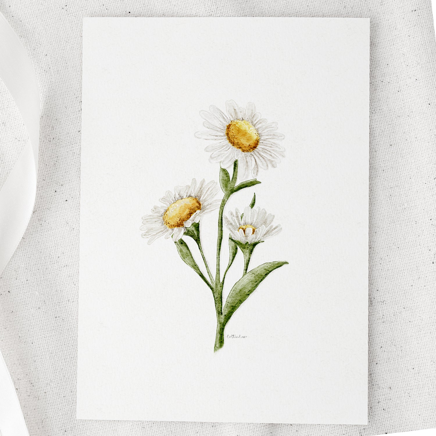 Daisies Watercolour Print 🌼