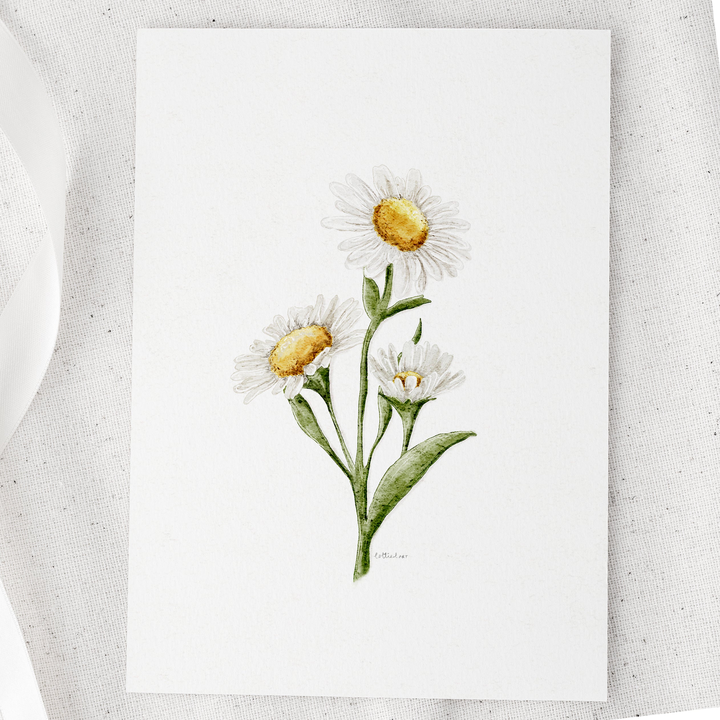 Daisies Watercolour Print 🌼