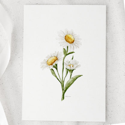 Daisies Watercolour Print 🌼