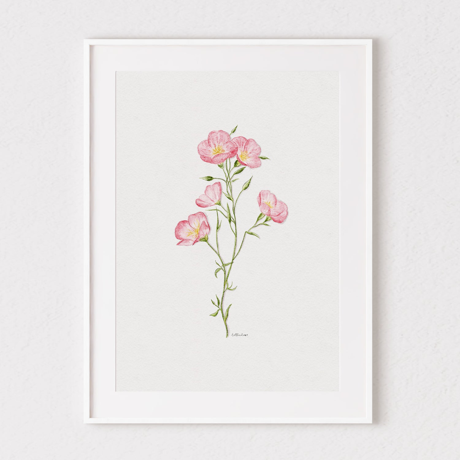 Pretty in Pink Primrose Watercolour Print 🌸
