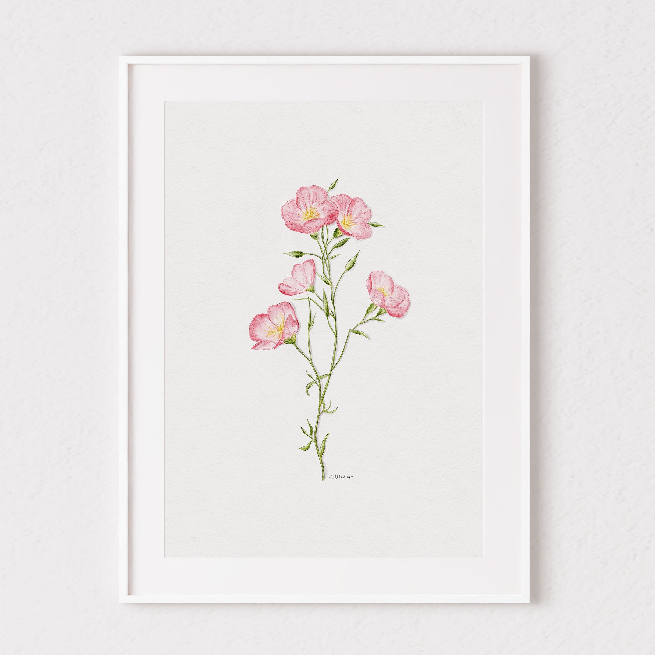 Pretty in Pink Primrose Watercolour Print 🌸