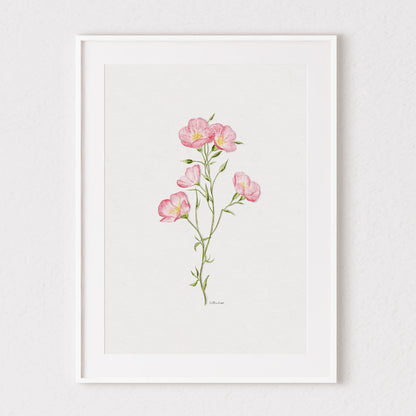 Pretty in Pink Primrose Watercolour Print 🌸