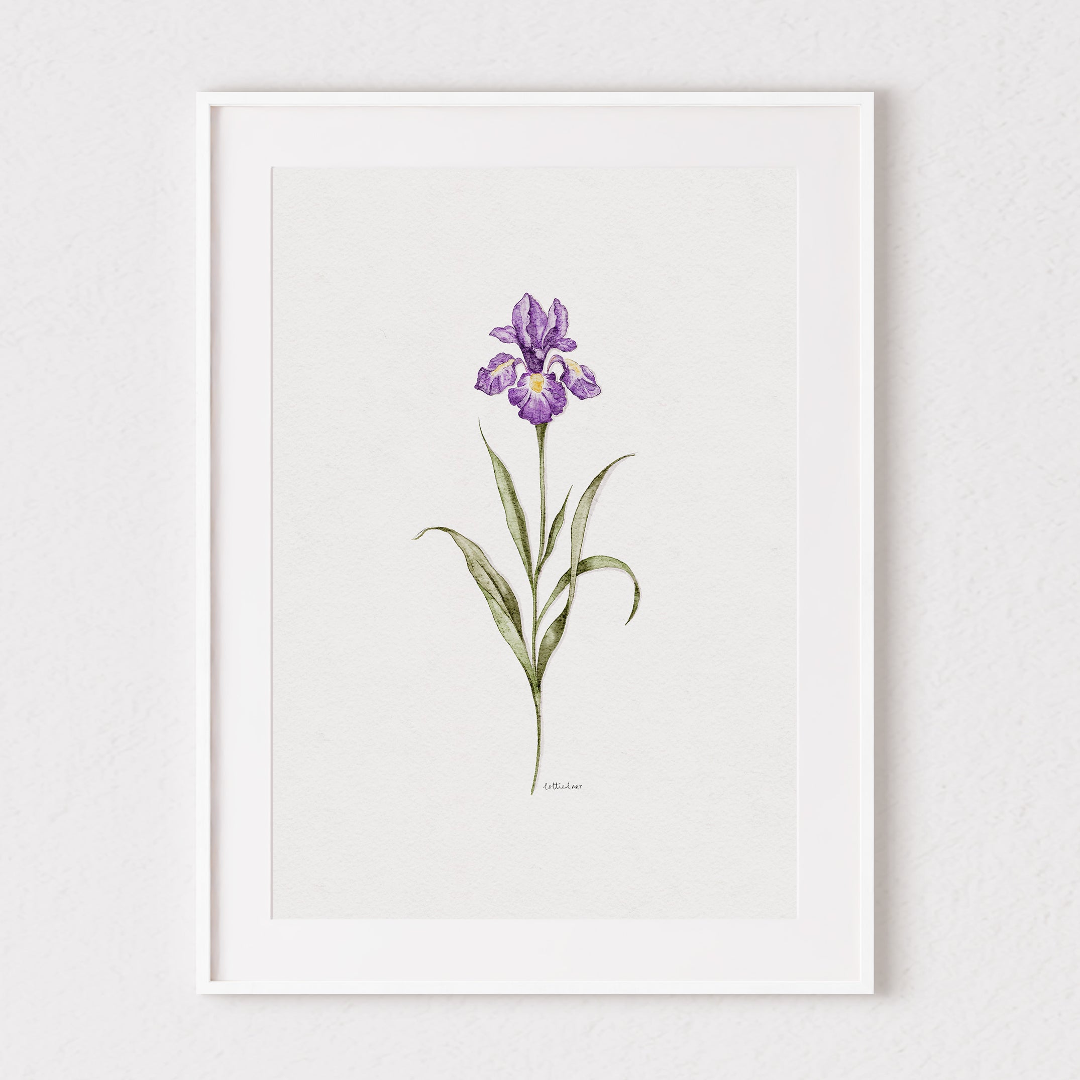 Iris Watercolour Print 💜