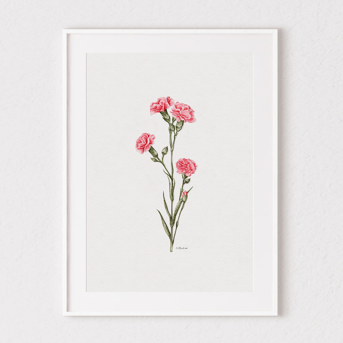 Carnations Watercolour Print 💗