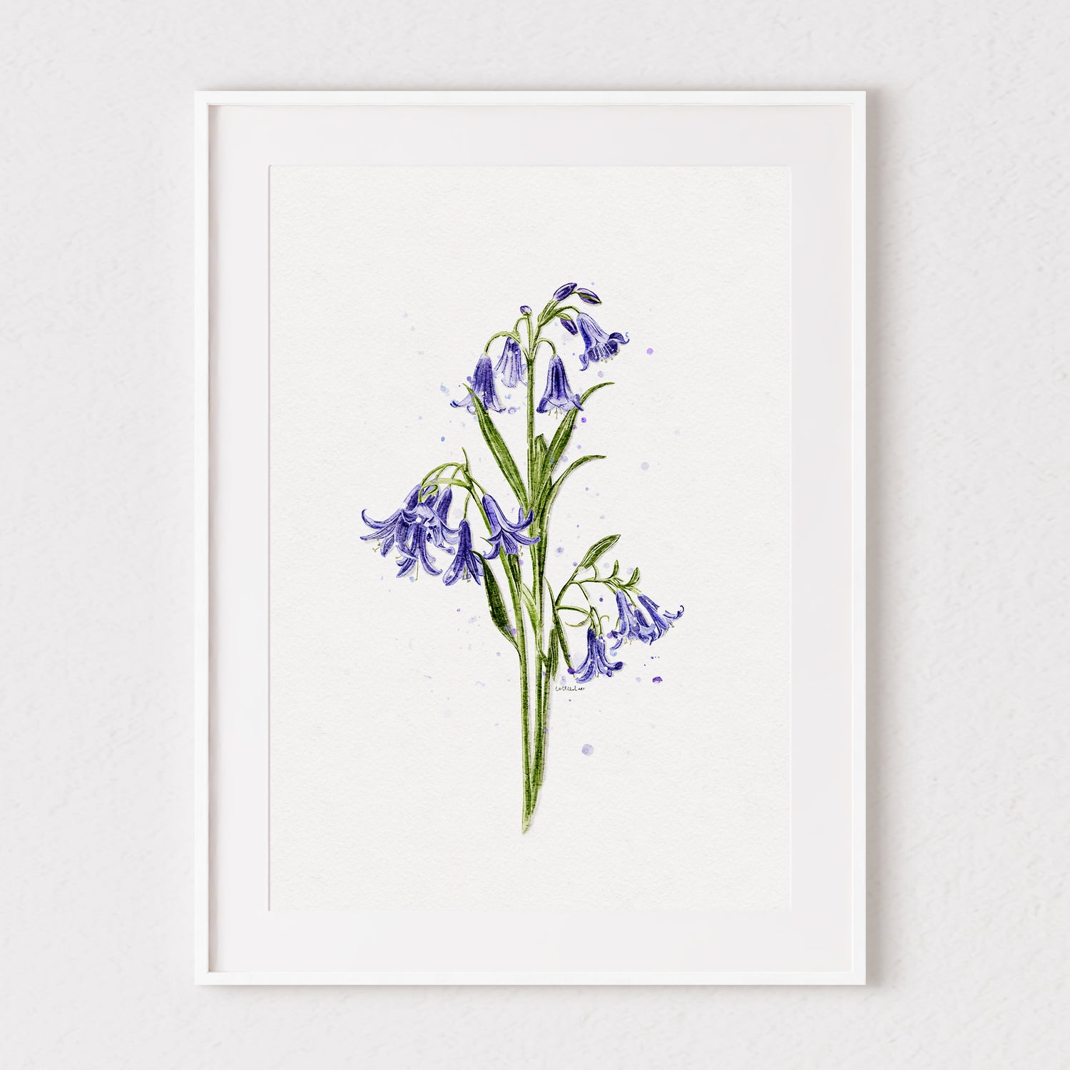 Bluebells Watercolour Print 💙