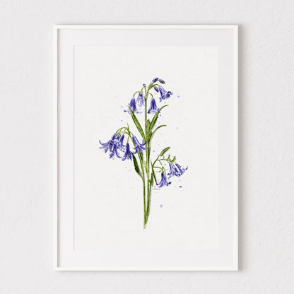 Bluebells Watercolour Print 💙
