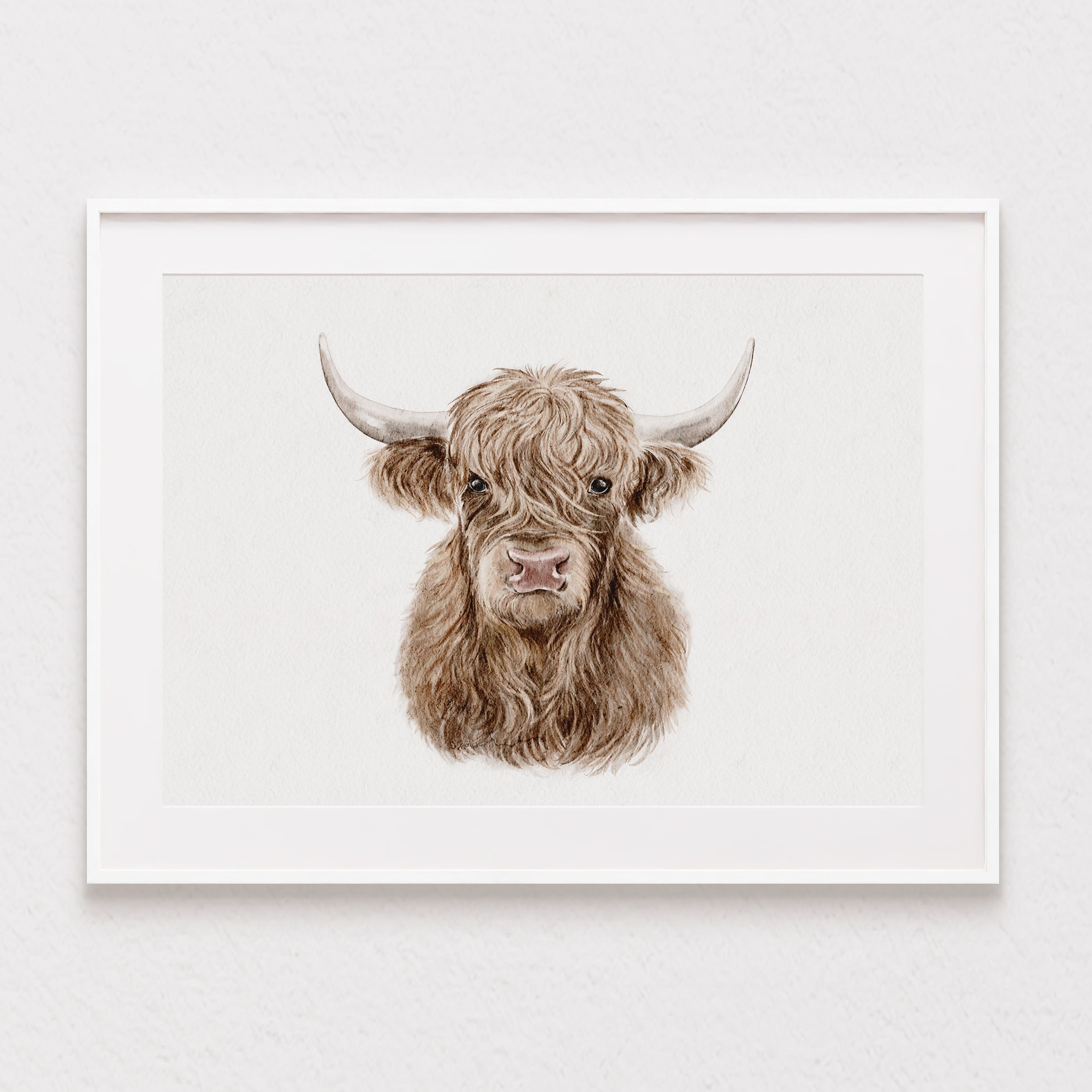 Highland Cow Watercolour Print 🤎