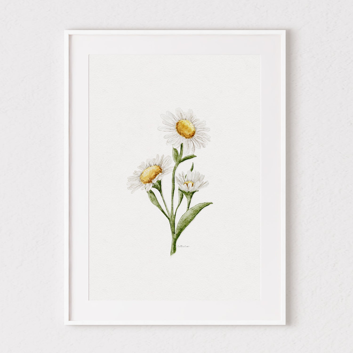 Daisies Watercolour Print 🌼
