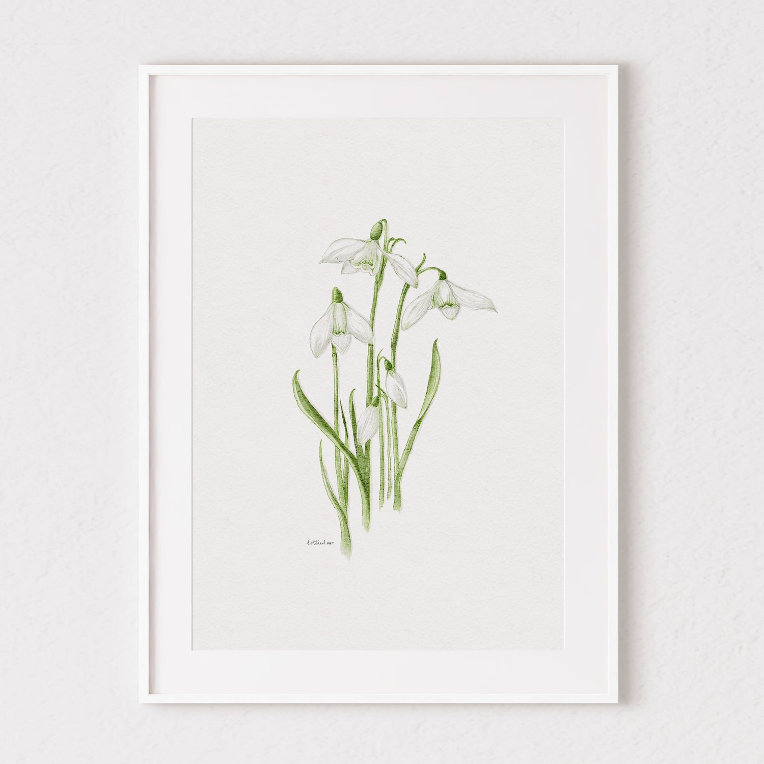 Snowdrops Fine Art Print 🤍