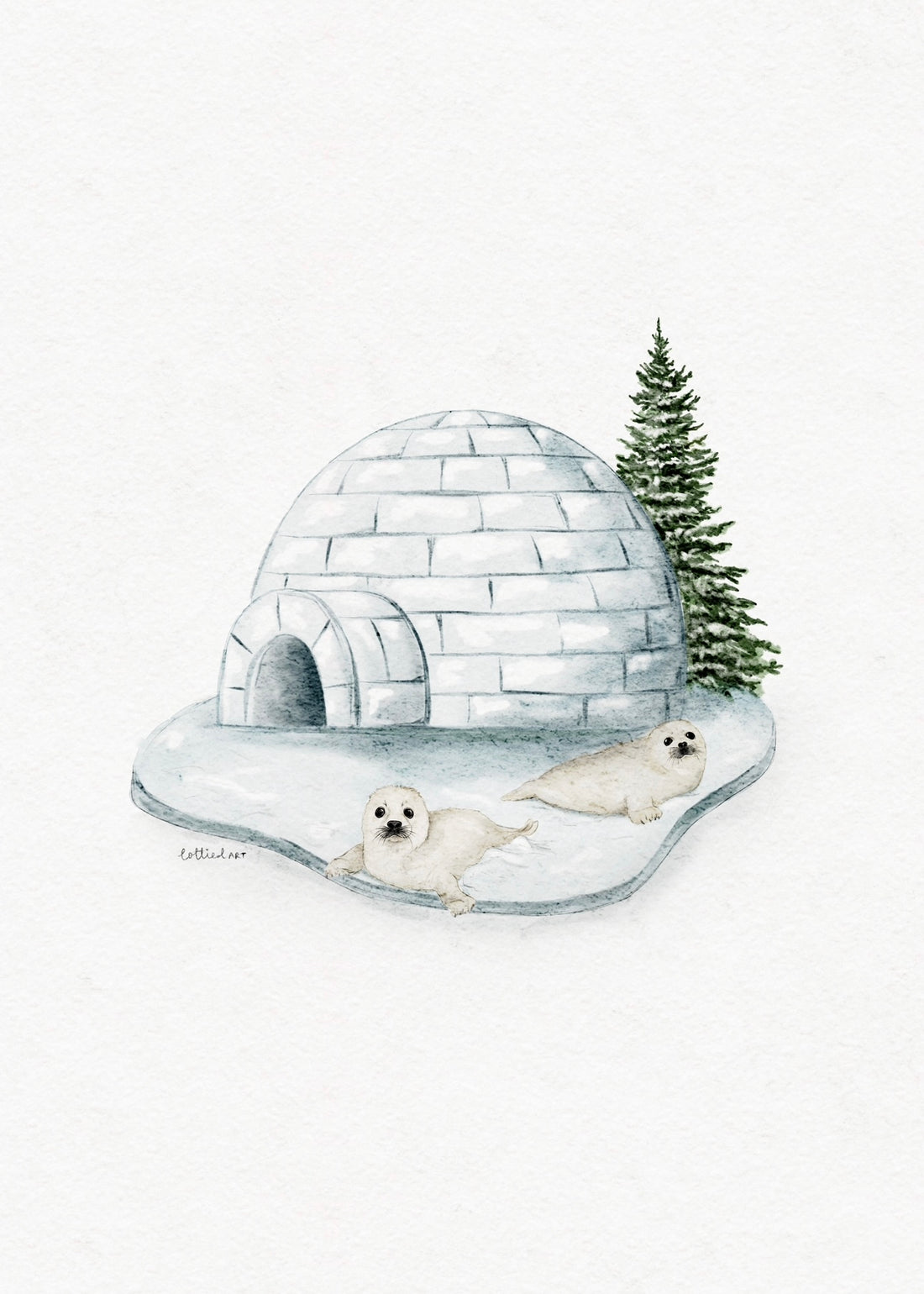The Seals Igloo Fine Art Print 🦭