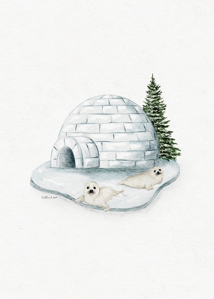 The Seals Igloo Fine Art Print 🦭