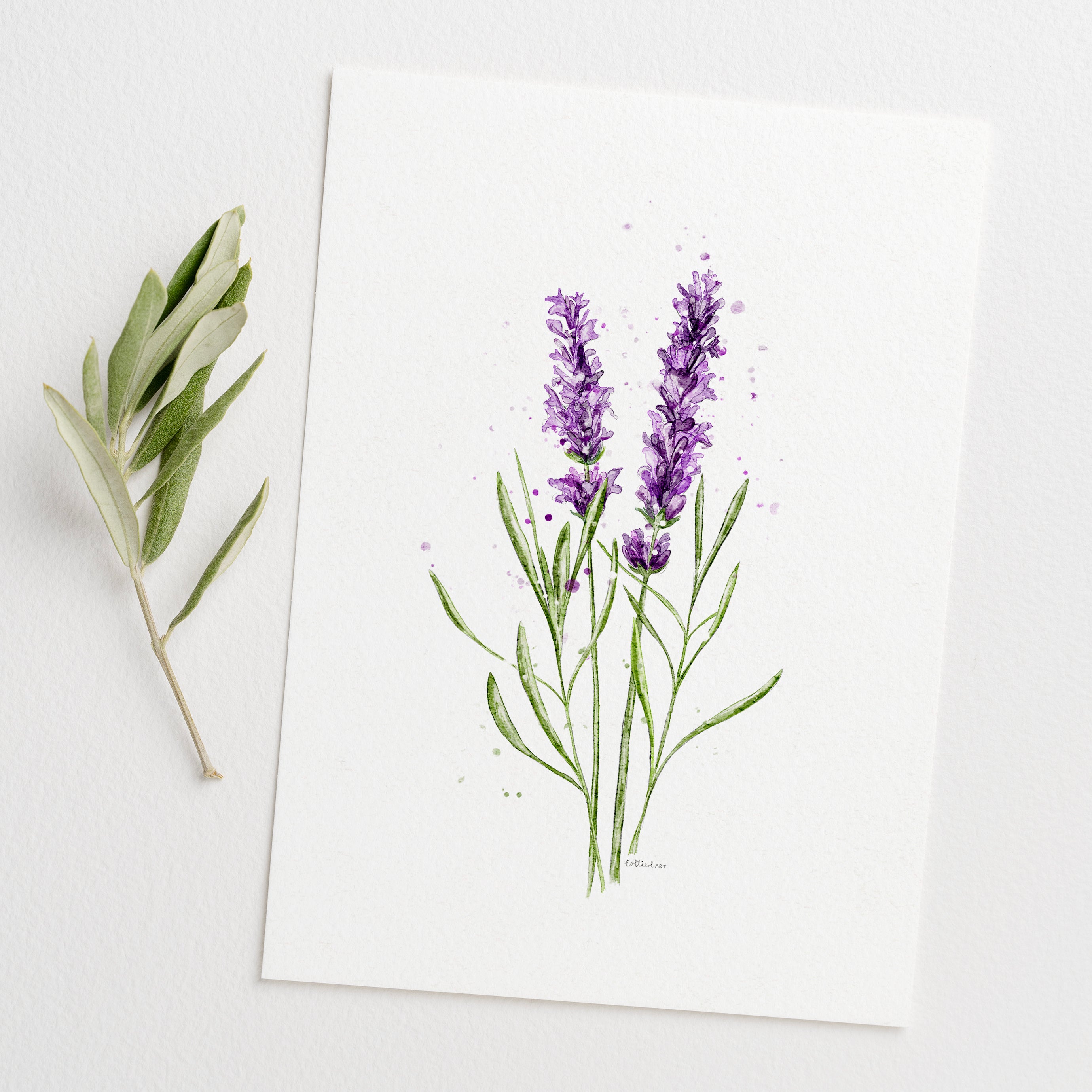 Lavender Watercolour Print 💜