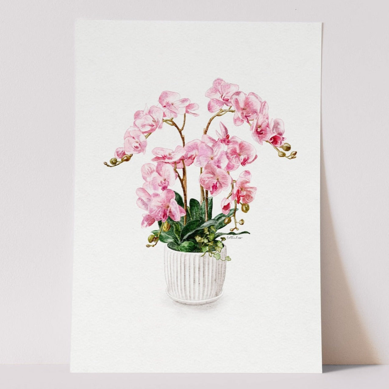 Pink Orchid Watercolour Print 🌸