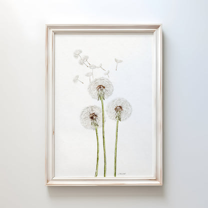 Dandelion Watercolour Print 🤍