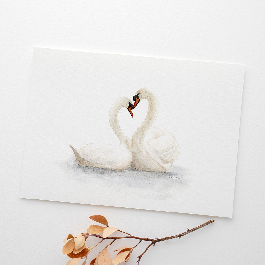 Swan Lake Watercolour Print 🦢
