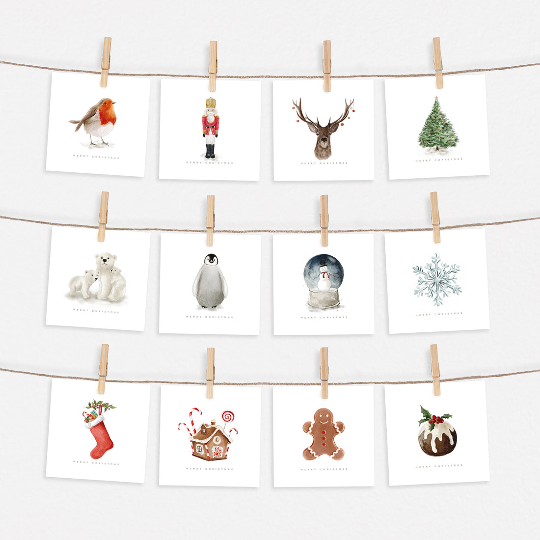 2022 Complete Festive Collection Set - Pack of 12, 24 or 36