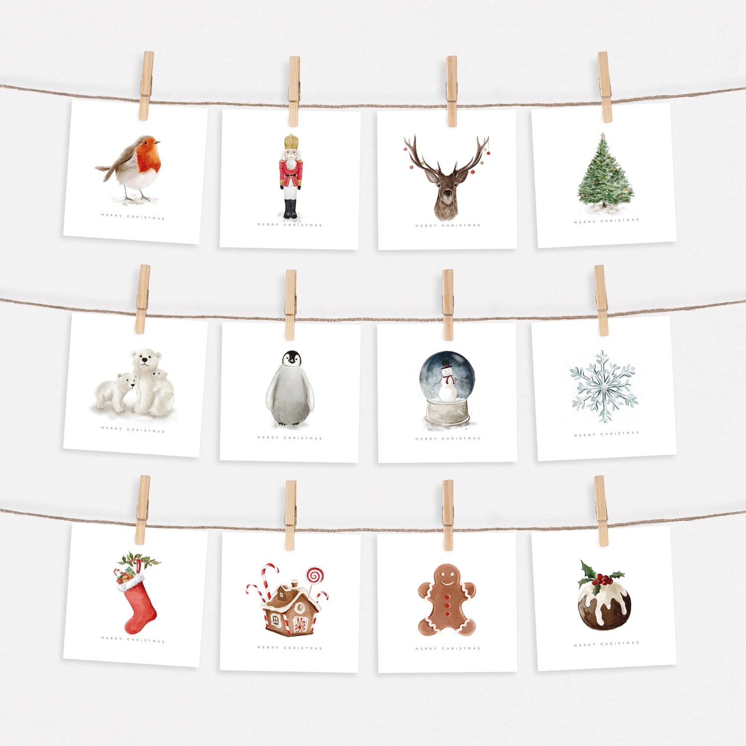 2022 Complete Festive Collection Set - Pack of 12, 24 or 36